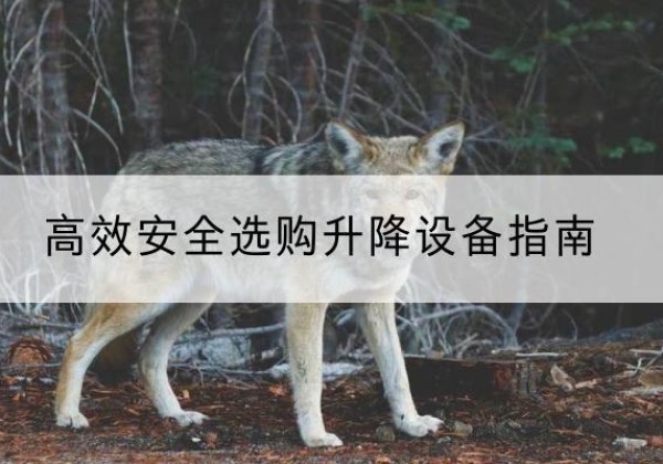 突泉升降货梯厂家推荐-*安全选购升降设备指南