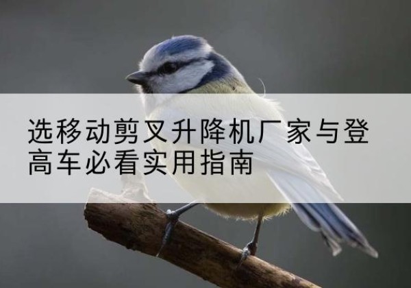突泉电动升降机厂家-选移动剪叉升降机厂家与登高车必看实用指南