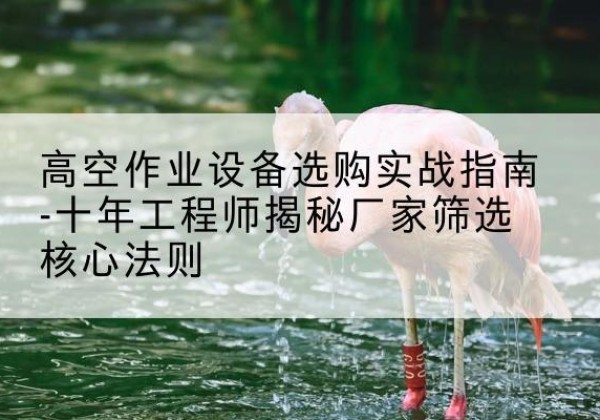 突泉剪叉式升降机厂家-高空作业设备选购实战指南-十年工程师揭秘厂家筛选核心法则
